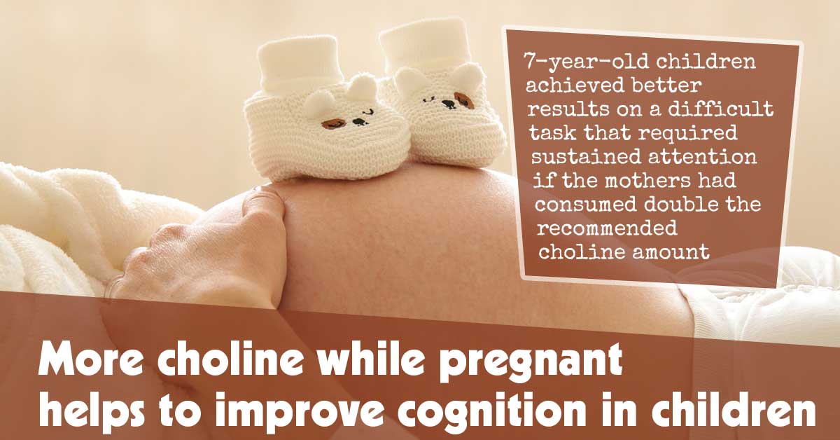 Enhancing Children’s Cognitive Abilities: The Impact of Increased Choline Intake During Pregnancy