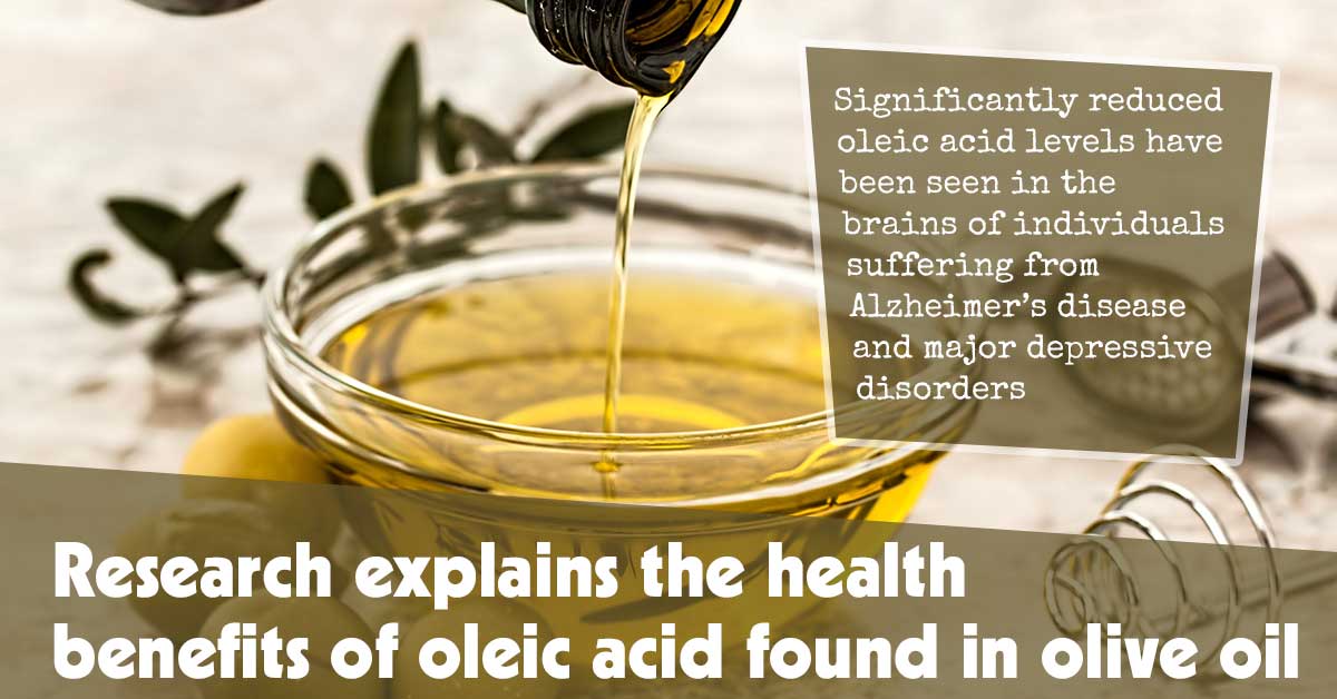 Unraveling the Health Benefits of Oleic Acid Found in Olive Oil: Insights from Research