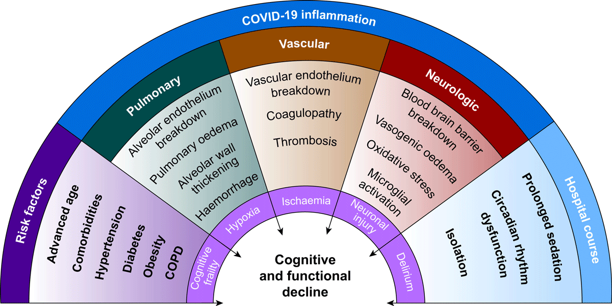 Cognitive Impairment from COVID-19 Could Mimic Aging by 20 Years