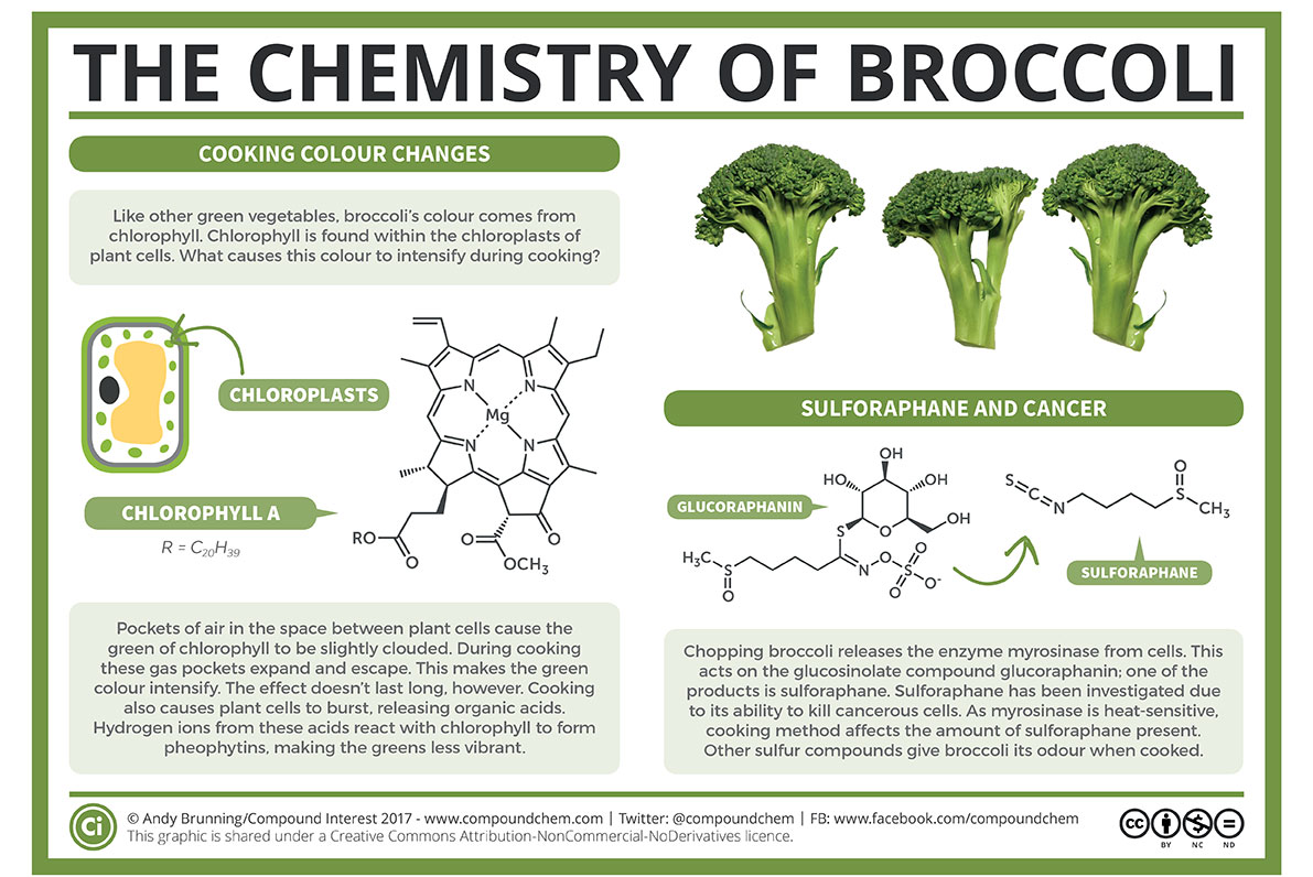 Broccoli Compound Found to Offer Potential Protection Against COVID-19