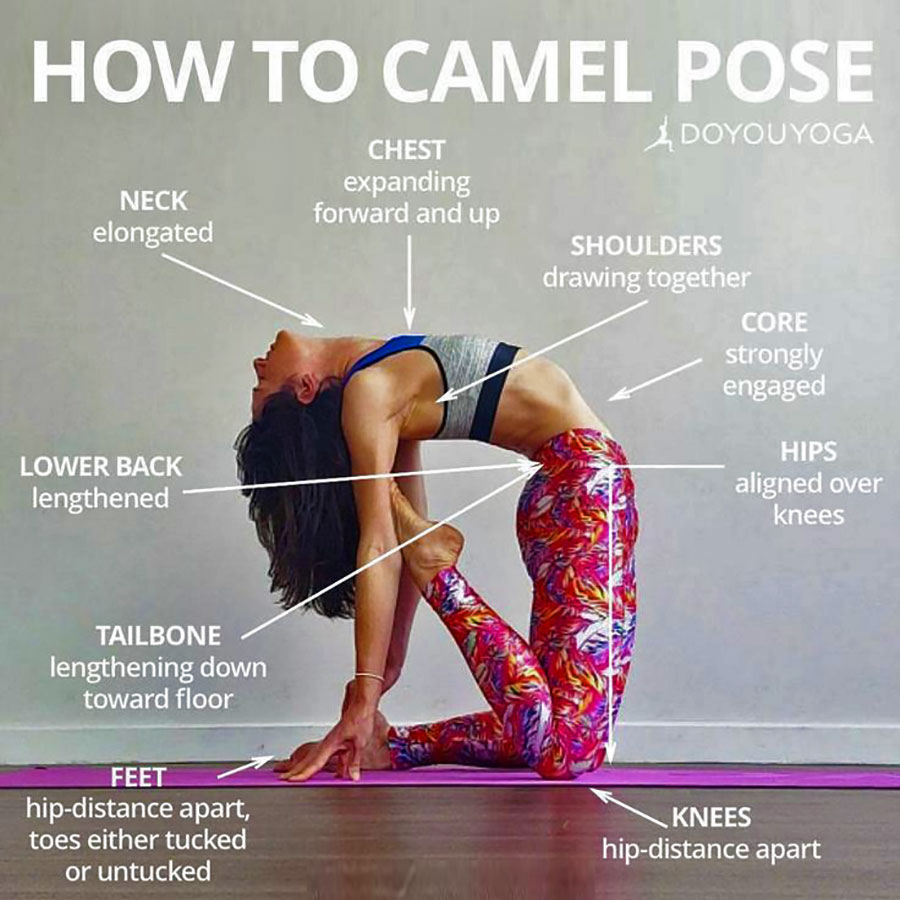 Understanding the Health Benefits of Camel Pose [Ustrasana] in Yoga